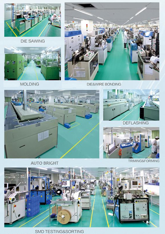 Real Factory